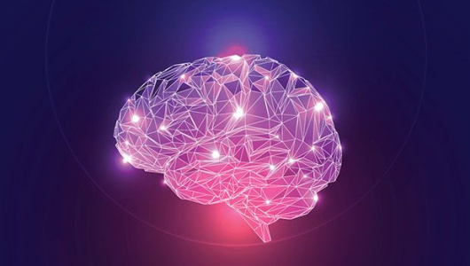 Brain_700x350-530x300.jpg