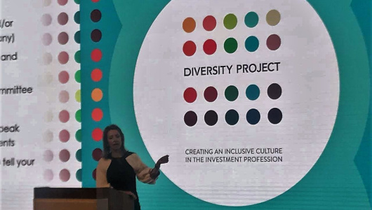 Diversity-Project-530x300.jpg