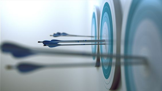 target-530x300.jpg