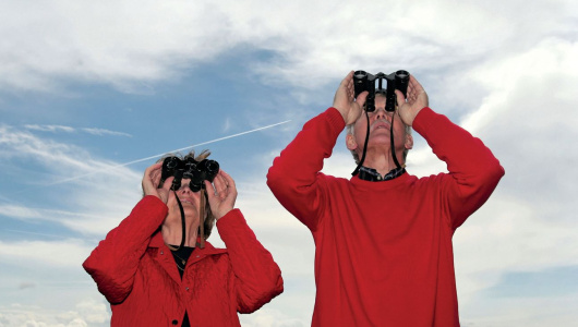 iStock-184085008-530x300.jpg