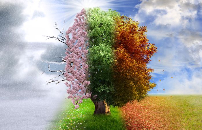volatility-global-market-changing-seasons.jpg