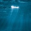 under-water-submerged-markets-100x100.jpg