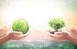 Nic Cicutti: Is an ethical code something you can teach?