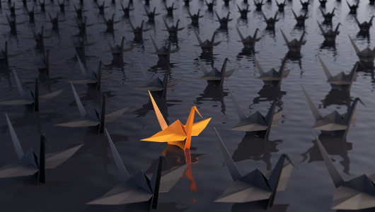 Cover_feature-530x300.jpg