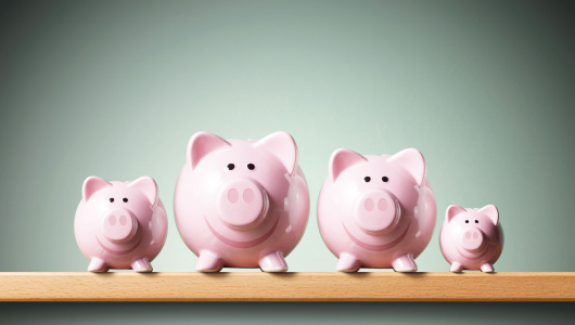 22-pigs-iStock-856177518-530x300.jpg