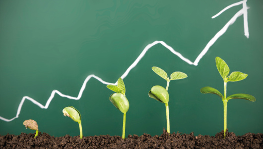17-iStock-523856038-530x300.jpg