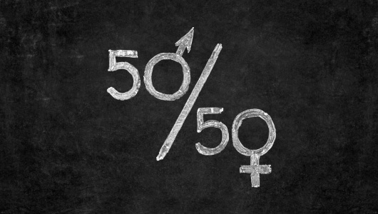 28_Gender-gap-530x300.jpg