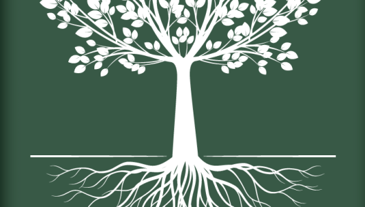 tree branch