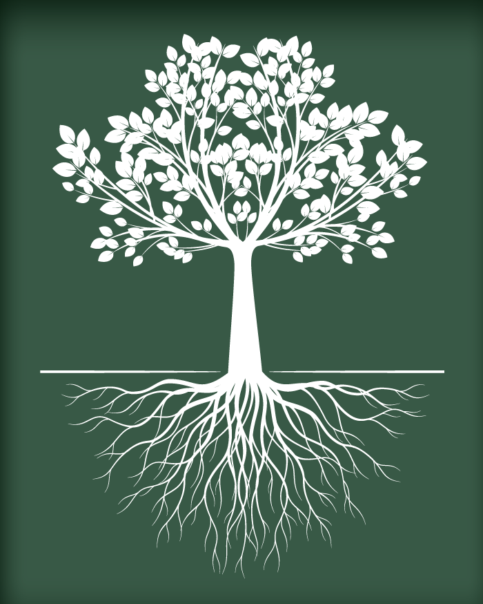 The seven ages of advisers – Part three: 60+ - Vimarsana News
