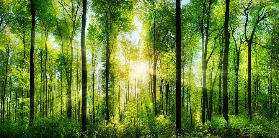 Schroders-sustainable-investing.jpeg