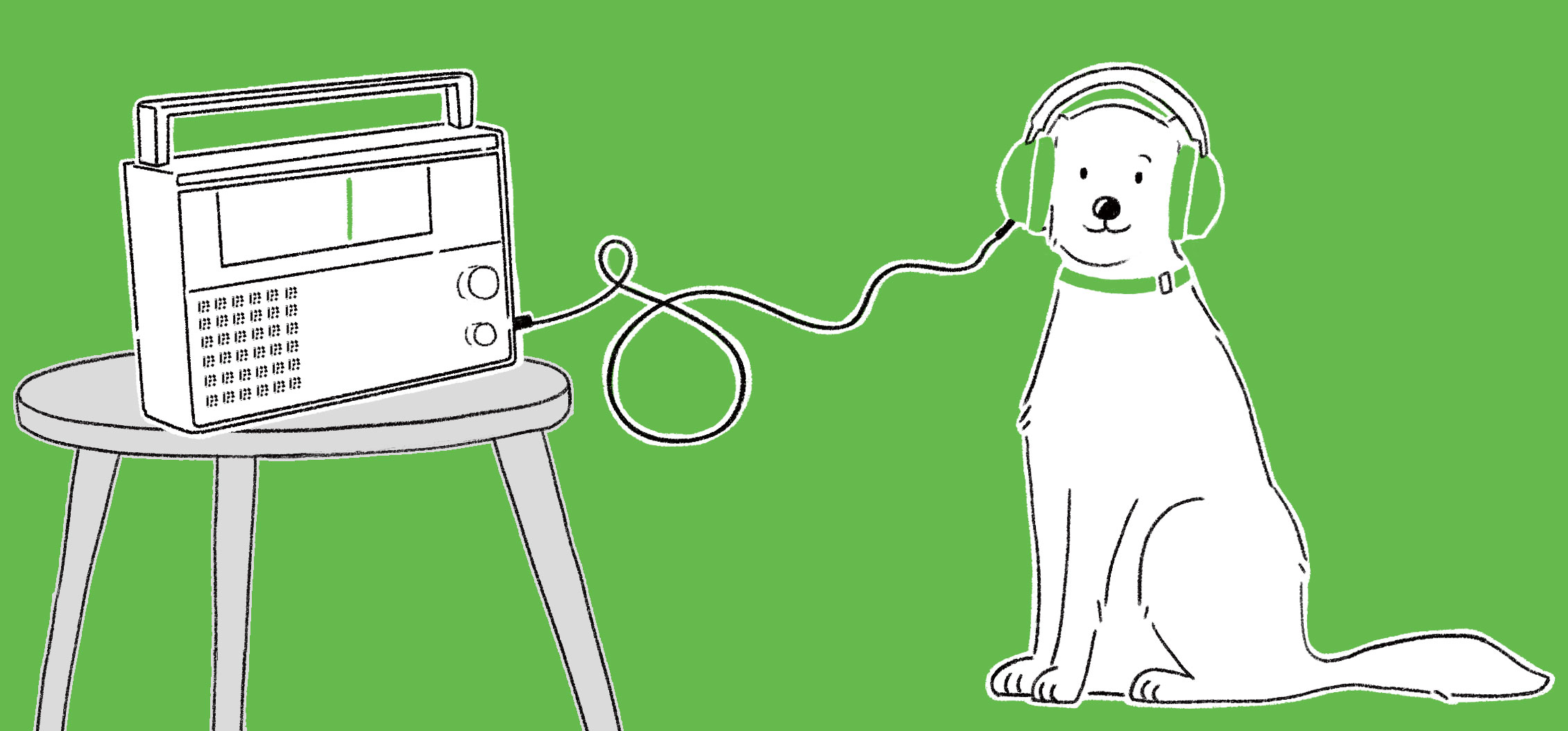 Ruffer Radio: A bias to belief | Money Marketing - Vimarsana News