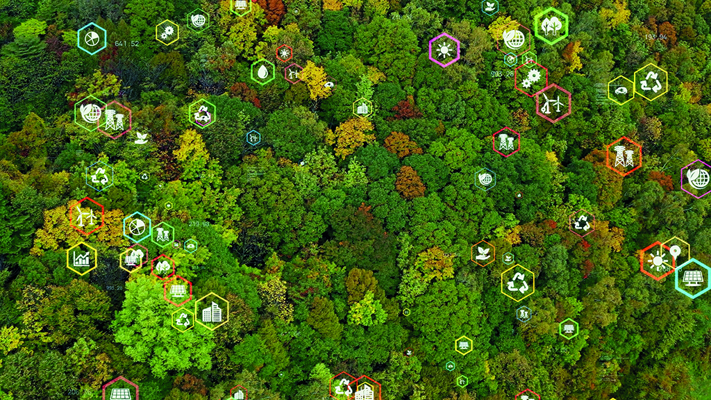 Leader: Should you care about Cop27? | Money Marketing - Vimarsana News