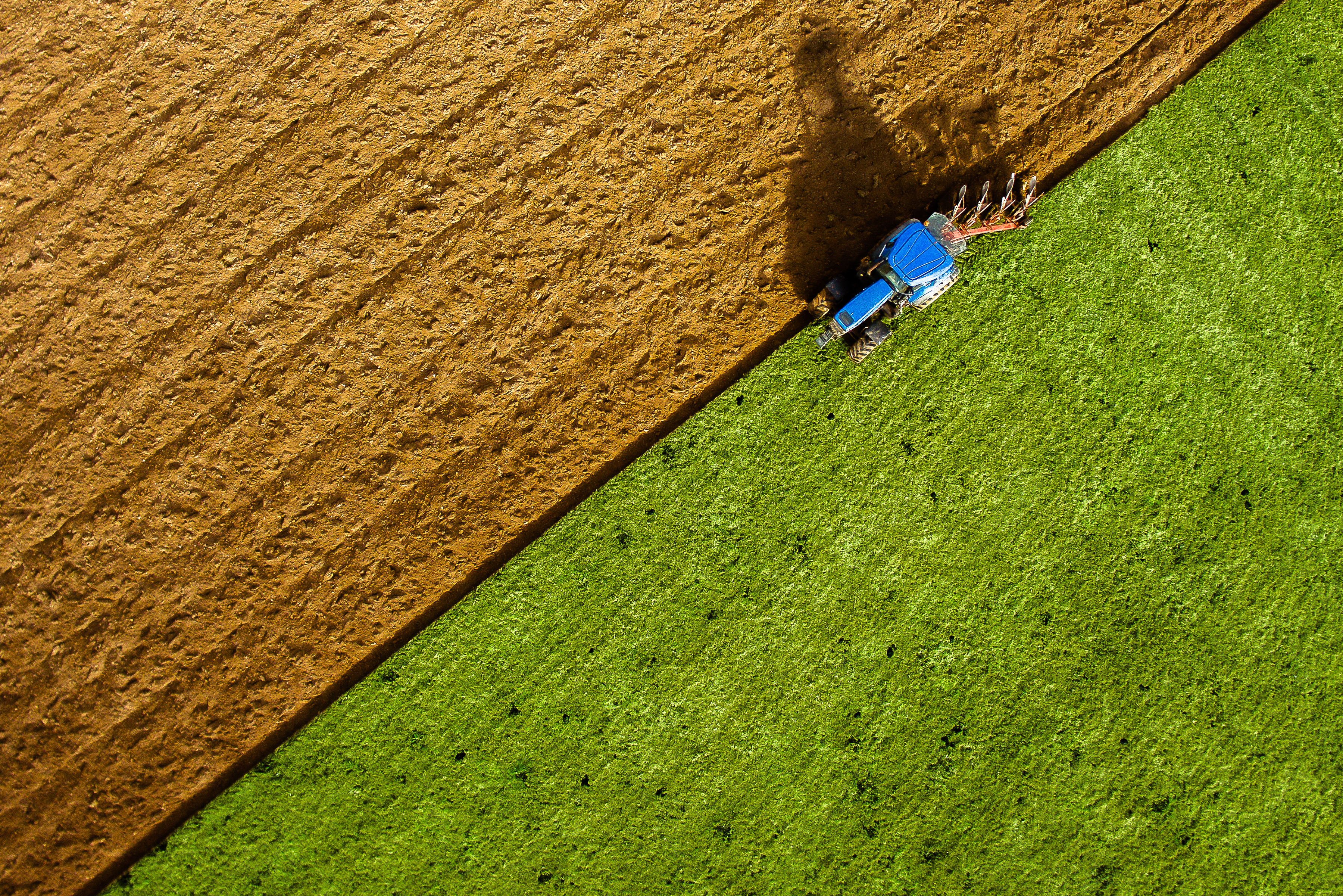Global-Sustainable-Credit-Primary-GettyImages-730293453.jpg