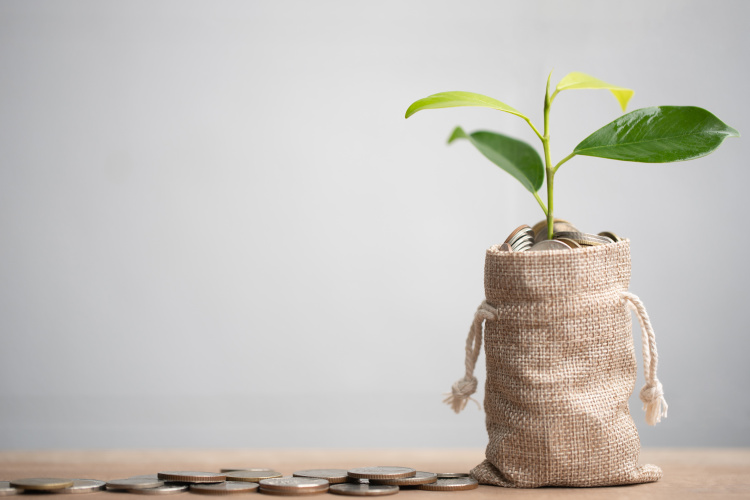 PensionBee reports 37% increase in group AUM with strong net flows
