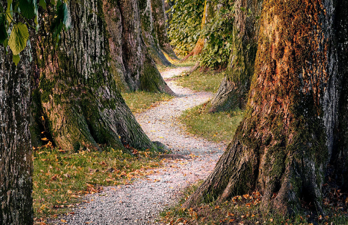The seven ages of advisers - Part two: 40s to 50s - Vimarsana News