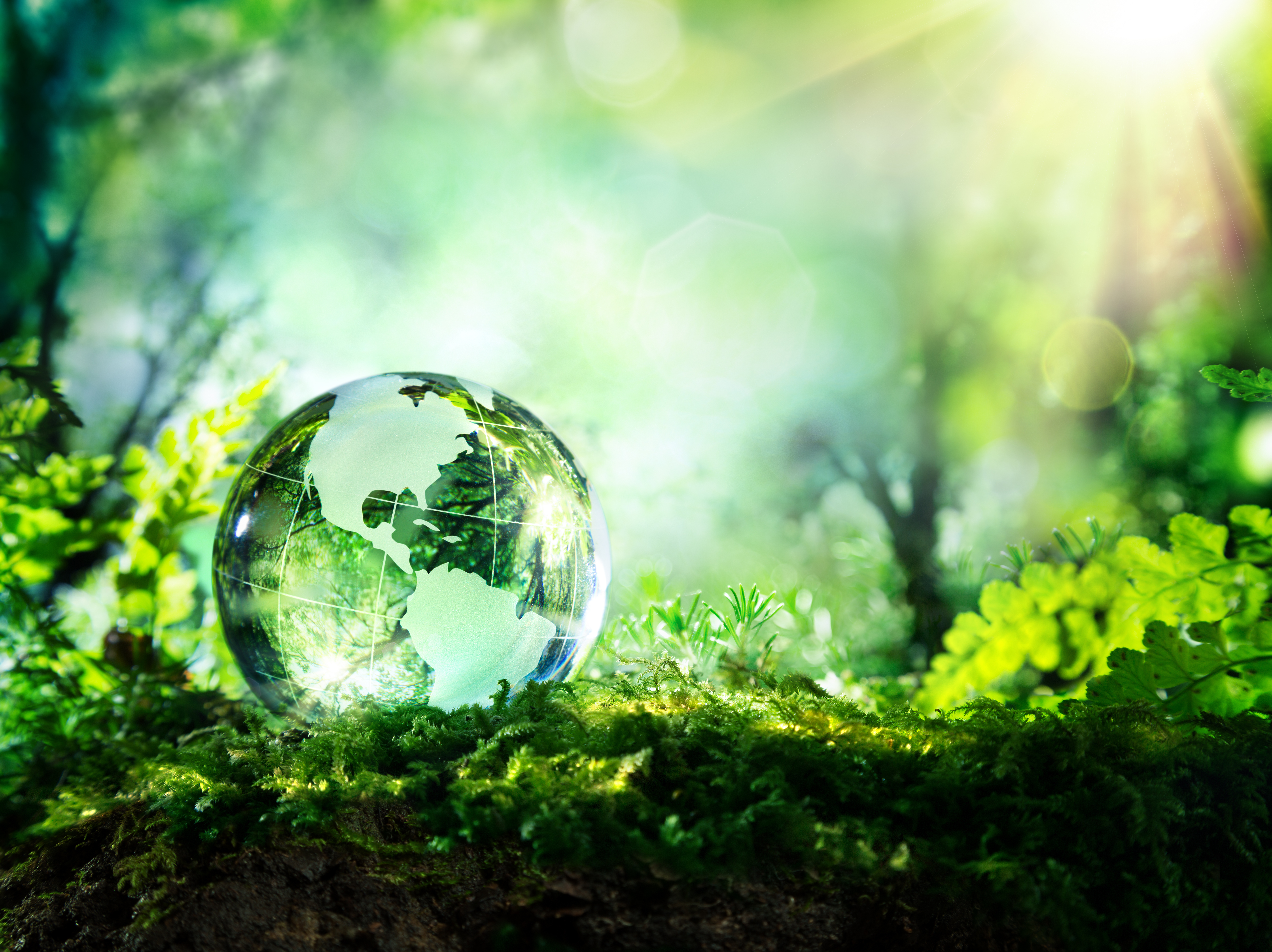 Tool launched to assist advisers in hitting net zero targets - Vimarsana News