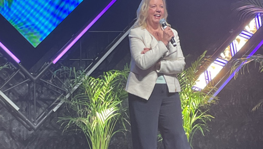 Deborah-Meaden-pic-530x300.jpeg