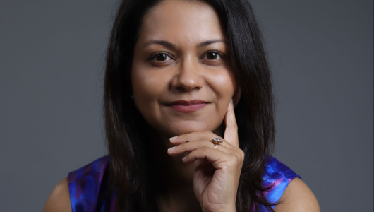 Prerna-Goel-Seccl-scaled-e1731318714712-530x300.jpg