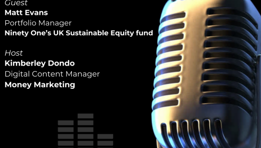 ICW-Matt-Evans-Sustainable-Opportunities-in-UK-Equities-530x300.png
